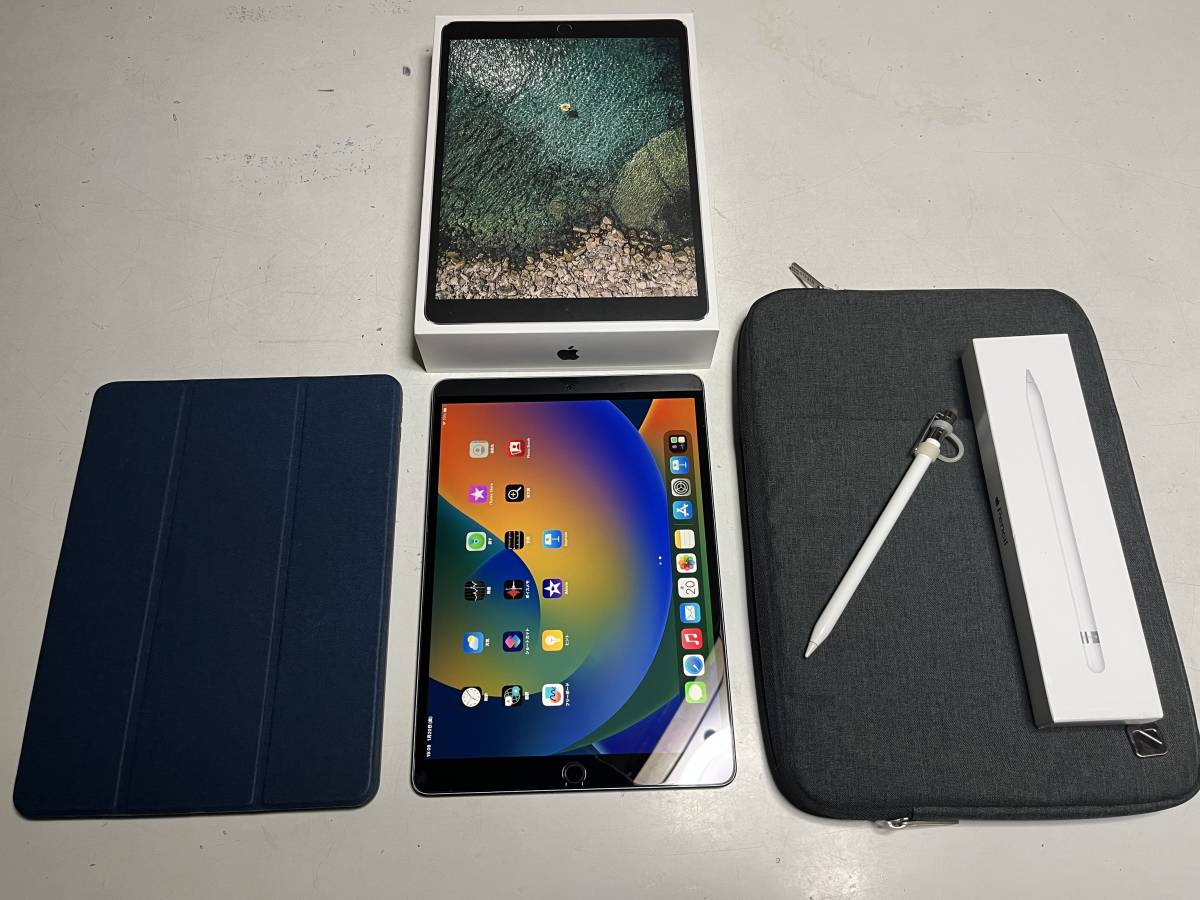 iPad Pro 10.5インチ　256GB KDDIセルラーモデル iPad Pro 10.5 Wi-Fi＋セルラー256GB 5インチ R8211210 iPad Pro 10.5