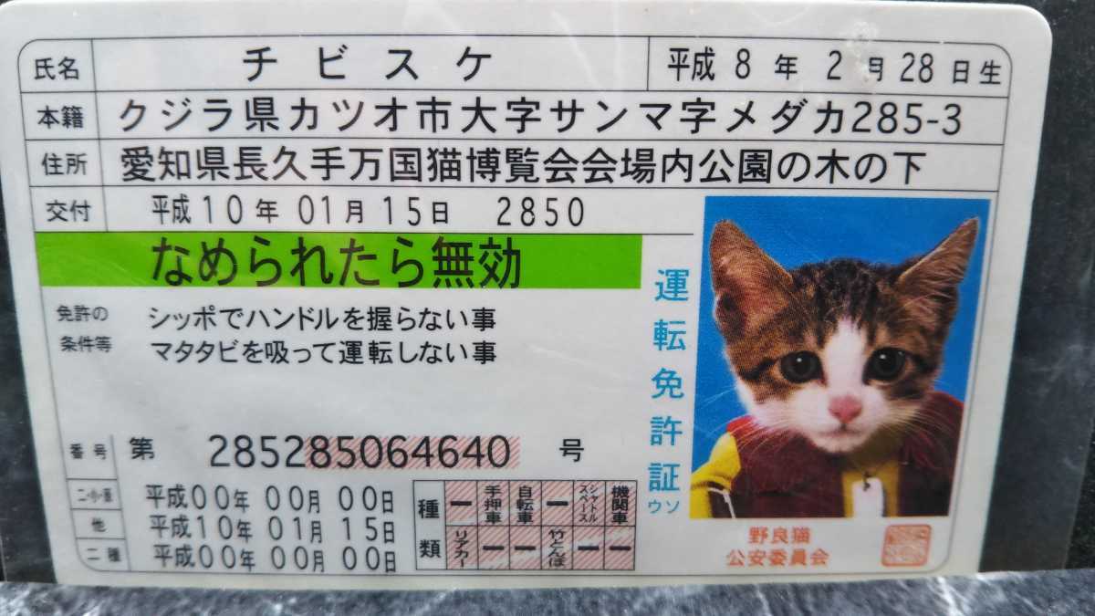 昭和レトロ なめ猫免許証 なめんなよ なめ猫グッズ なめ猫写真アンティークコレクション