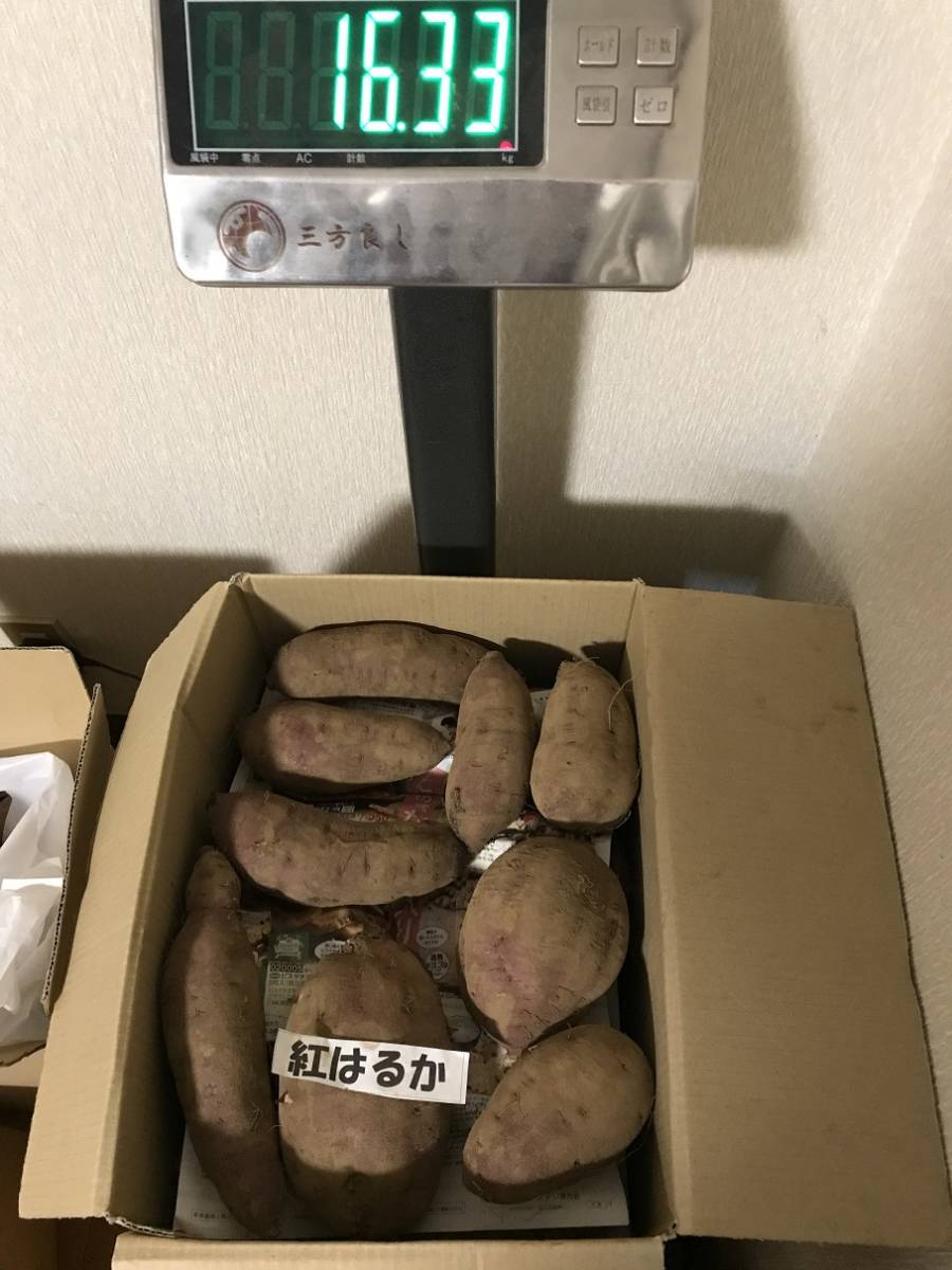 送料込 16Kg 紅はるか S～2Lサイズ おまけ付 有機肥料 減農薬栽培 さつまいも 薩摩芋 甘藷 A161 
