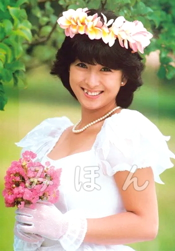 ◎ 河合奈保子【A】 昭和アイドル L判 写真 50枚セット(写真)｜売買