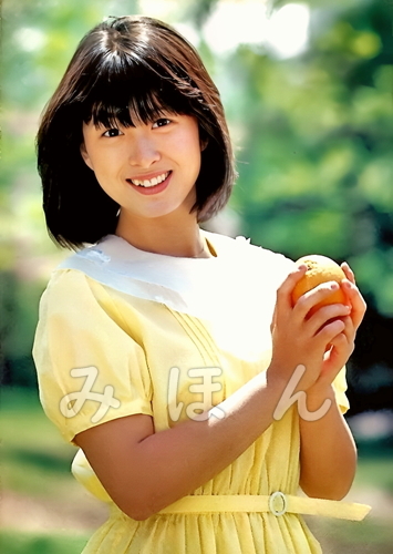◎ 河合奈保子【C】 昭和アイドル L判 写真 50枚セット(写真)｜売買