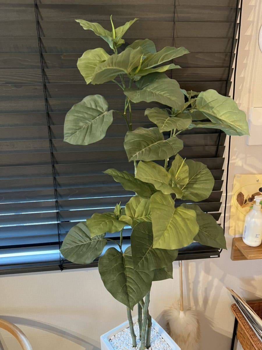 観葉植物 フェイクグリーン 人工観葉植物 ウンベラータ 170センチ 大型 