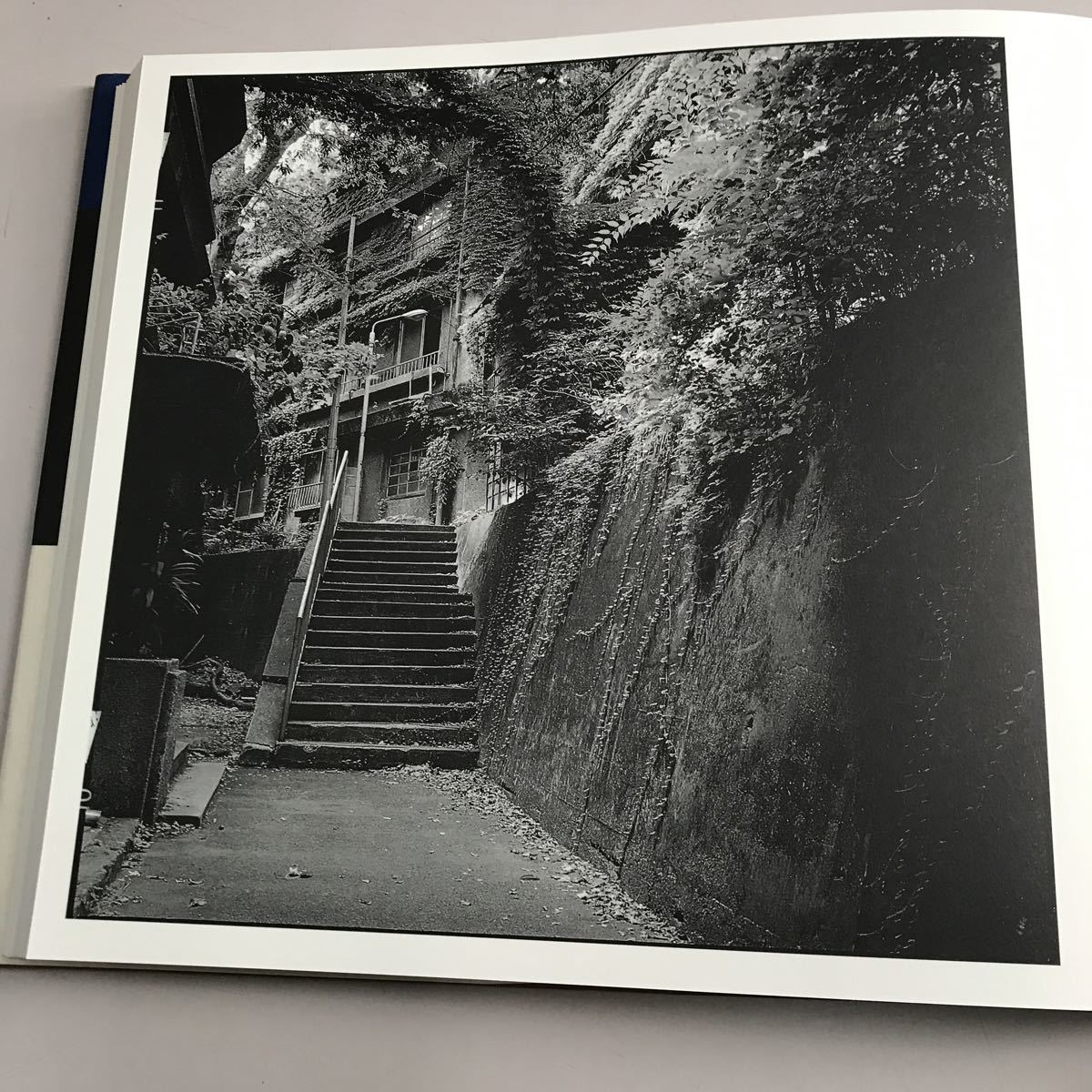 代官山17番地 ハービー山口(アート写真)｜売買されたオークション情報 