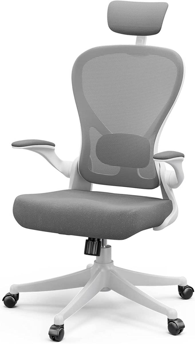 Frylr フィスチェア デスクチェア 人間工学 椅子 360度回転
