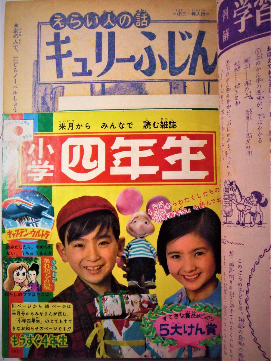 子平推命 基礎大全 梁湘潤 田中要一郎 / 占い 占術 四柱推命 【公式通販】