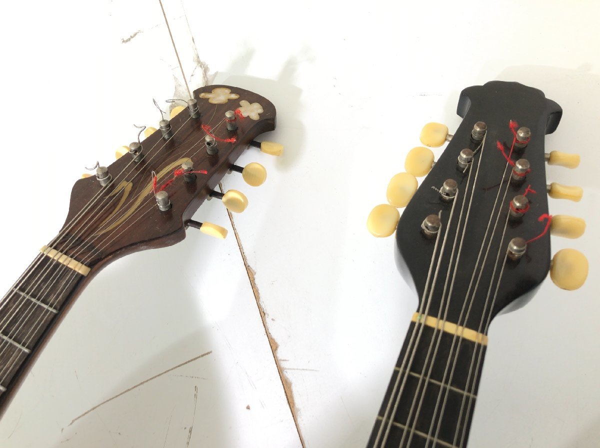 Nakade Rokutaro 中出六太郎 A80 / SUZUKI MANDOLIN No.206 マンドリン