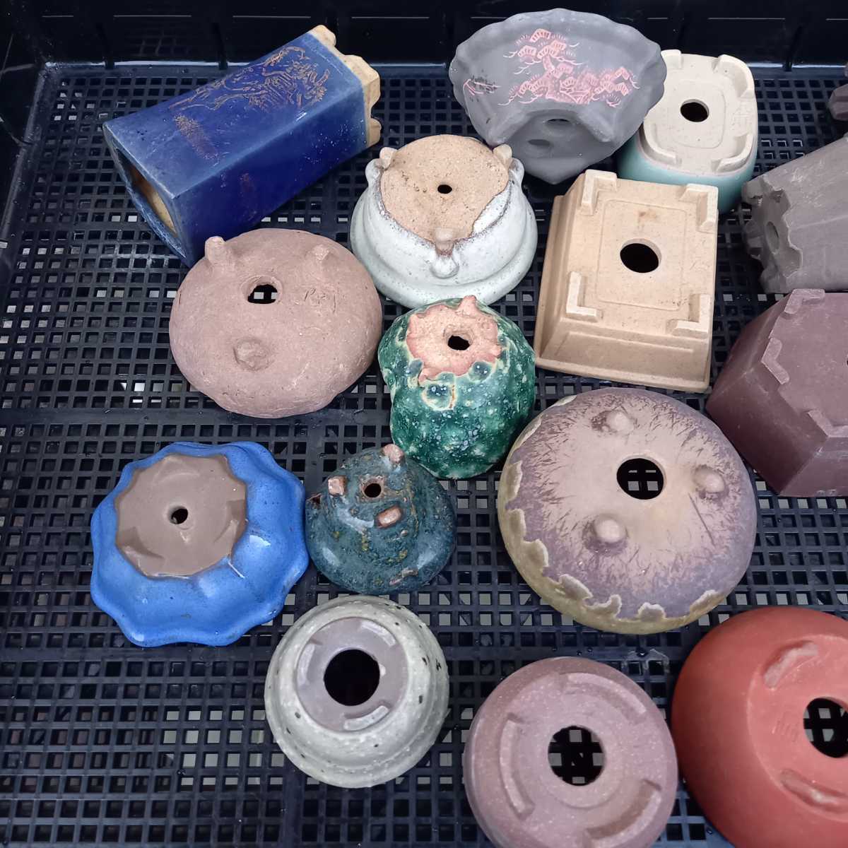 陶翠絵付け鉢小品盆栽山野草