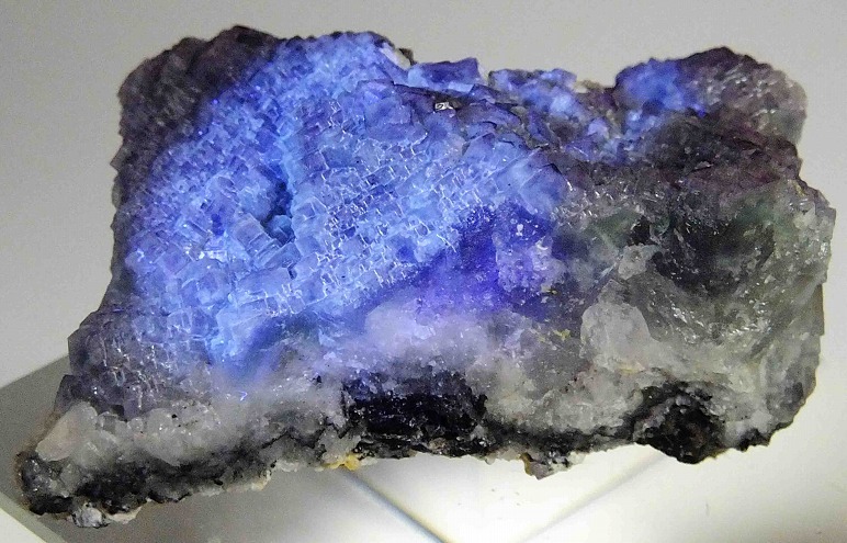 e1082197700.2