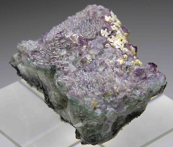 e1082197700.5