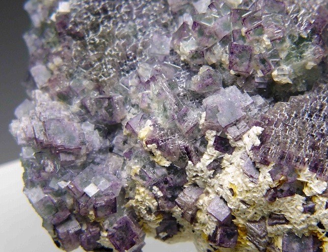 e1082197700.7