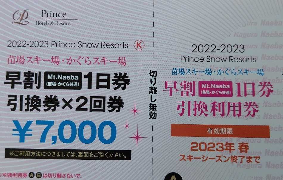 早割 Mt. Naeba 1日券 引換券×2回分 【公式通販】