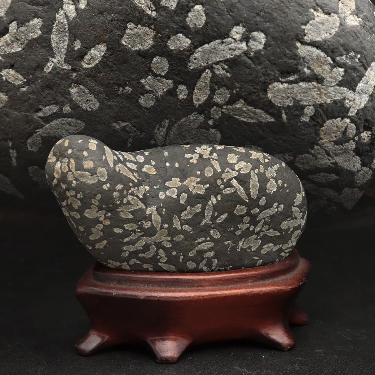 HW787 天然石 自然石 斑点石 鑑賞石 台座付 全高8cm/6.8cm 重315g 水石