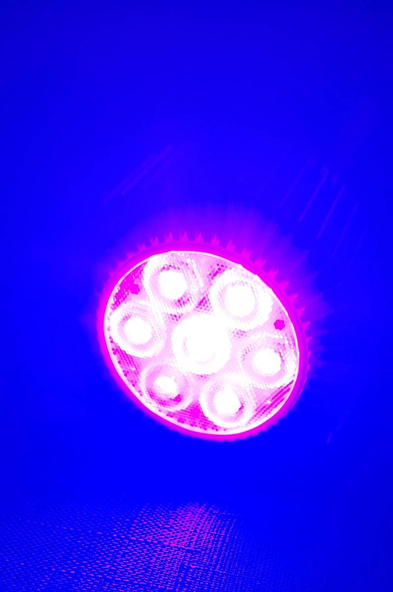 バイタルウェーブ⁄VitalWave｜ブルーハーバー 中古☆バイタルウェーブ