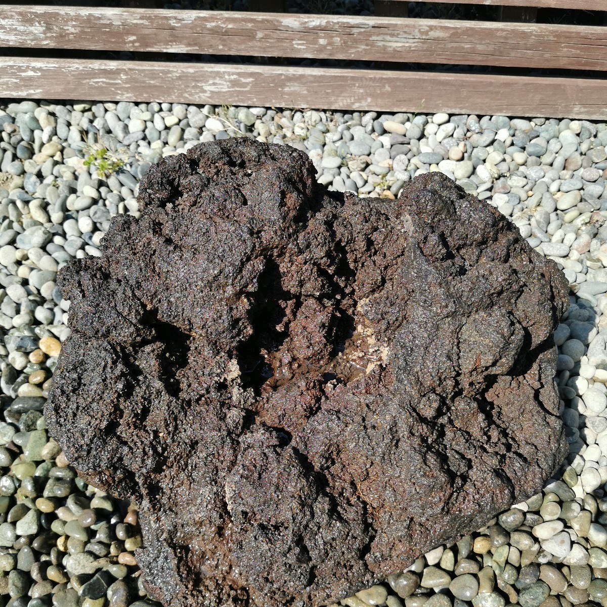富士溶岩石25.5キロ 庭石鑑賞石石盆石水石灯籠庭坪庭盆栽ガーデニング 