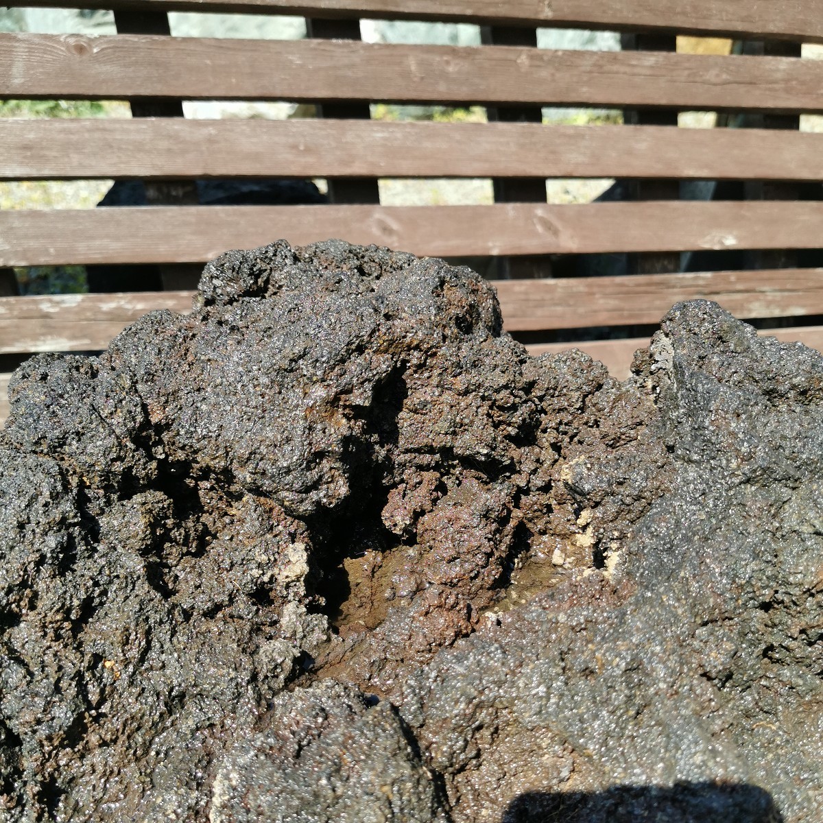富士溶岩石25.5キロ 庭石鑑賞石石盆石水石灯籠庭坪庭盆栽ガーデニング
