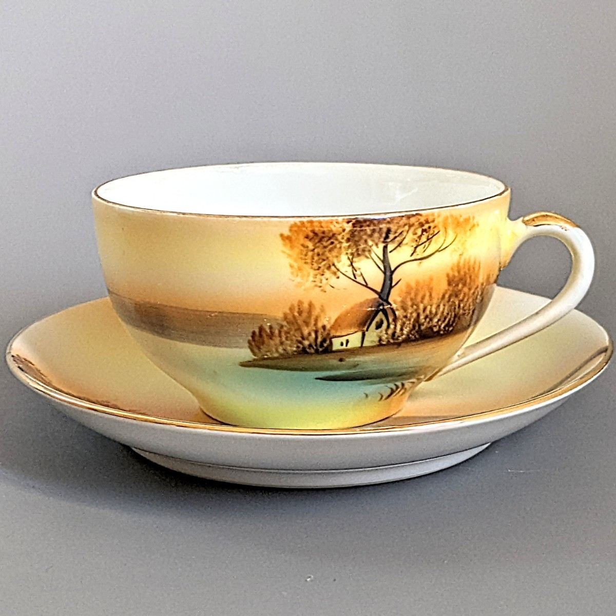 オールドノリタケ 有名なパターン☆ 貴重な美品！ 金彩夕暮湖畔風景