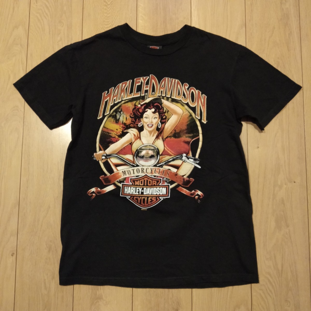 USA古着卸 Mサイズ Harley Davidson ハーレー ダビッドソン 両面プリント Tシャツ