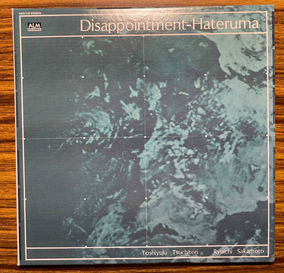 格安，セール 【再値下げ】Disappointment-Hateruma ディス 