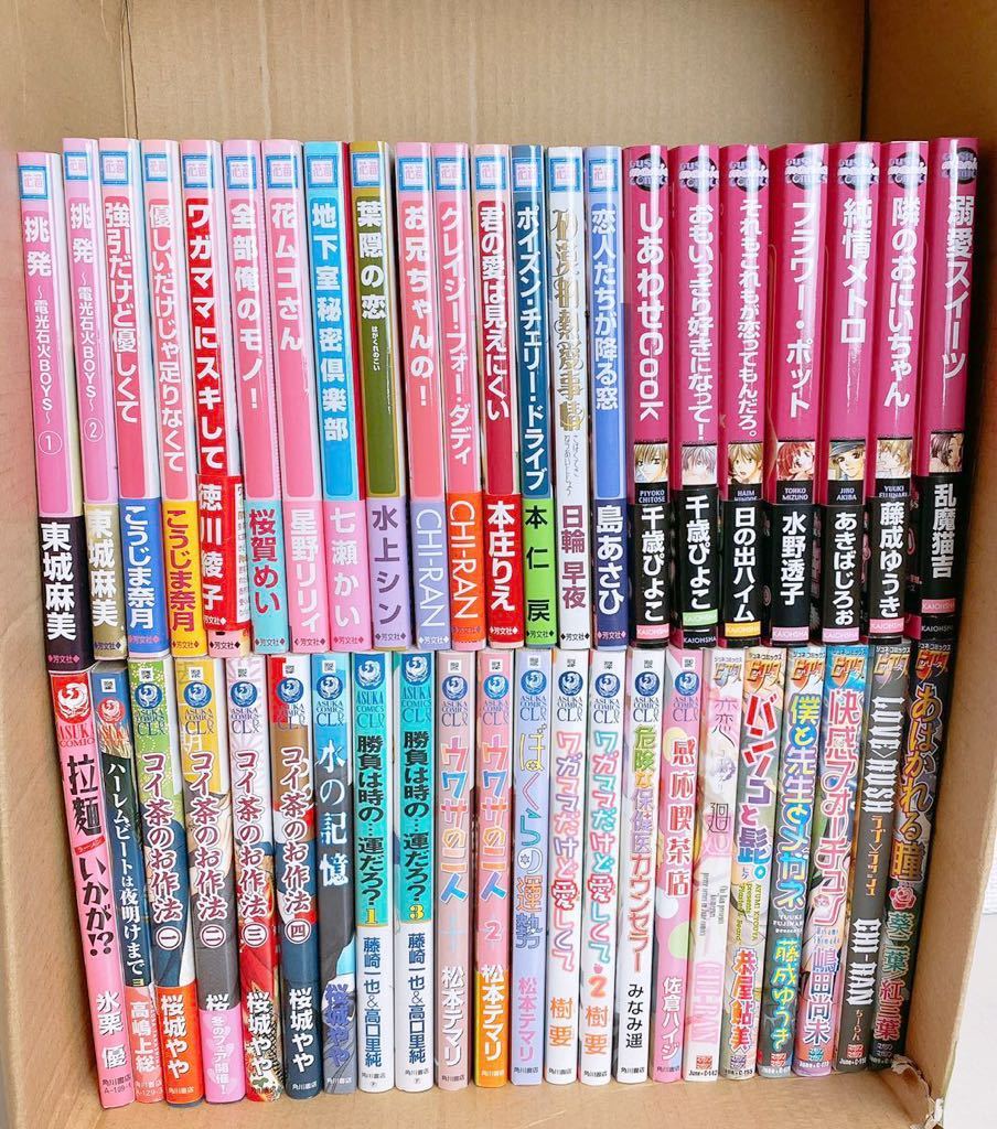 BL 単行本 まとめ売り 44冊 ボーイズラブ コミック コミックス 恋愛 恋  