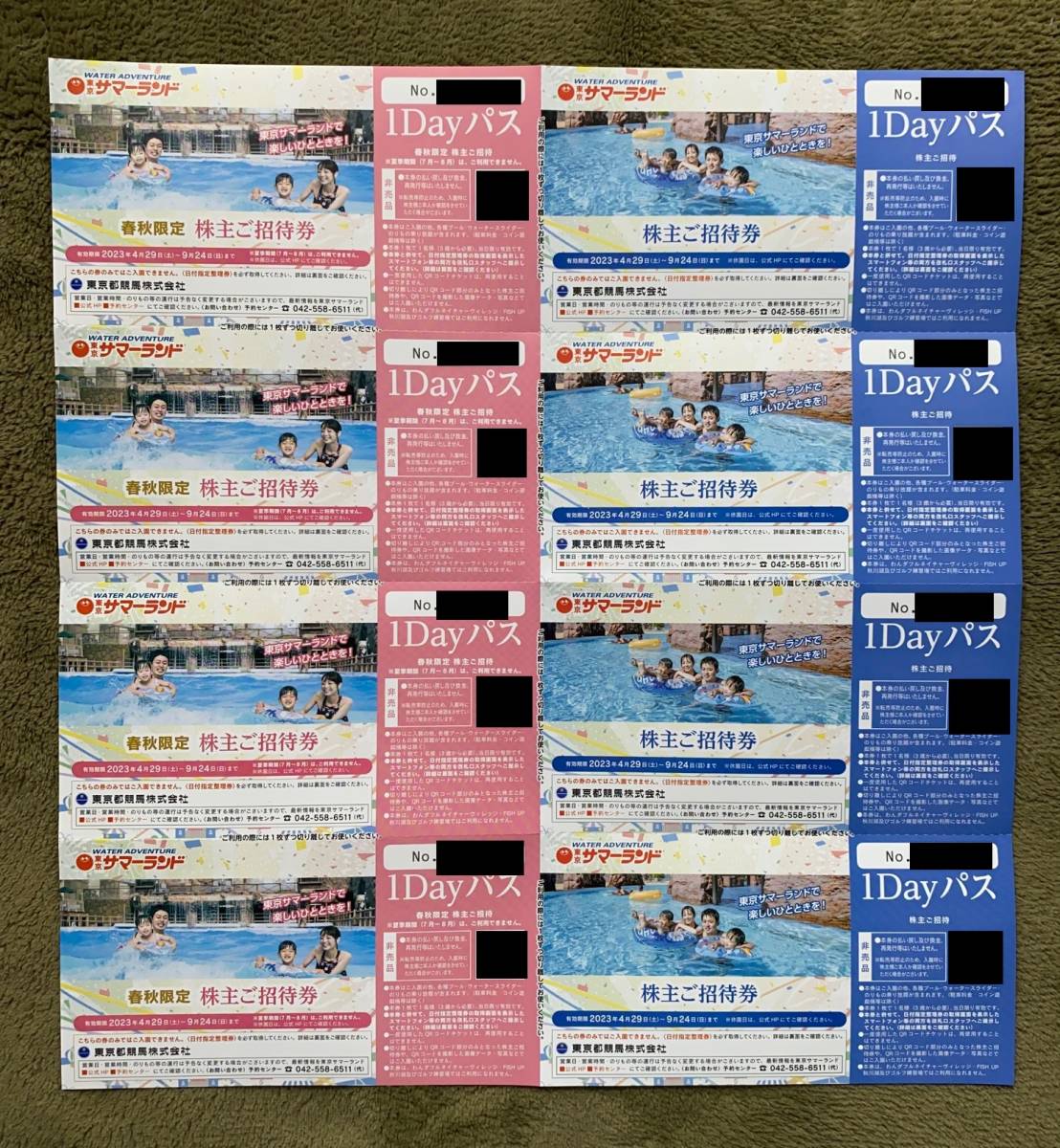 東京都競馬株主優待 サマーランド 1Dayパス 春秋限定株主ご招待 東京都競馬株主優待 サマーランド 1Dayパス 春秋限定株主ご招待