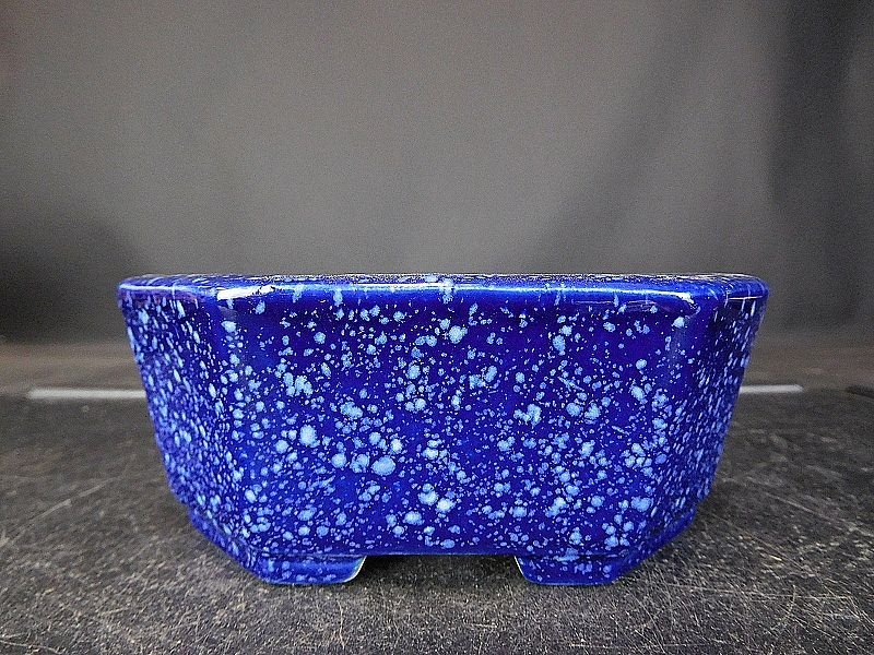 2025年最新Yahoo!オークション -鴻陽 鉢の中古品・新品・未使用品一覧