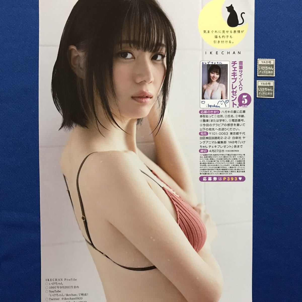 YA8号 パピコ いけちゃん サイン入りチェキ応募券各2枚(メンズコミック