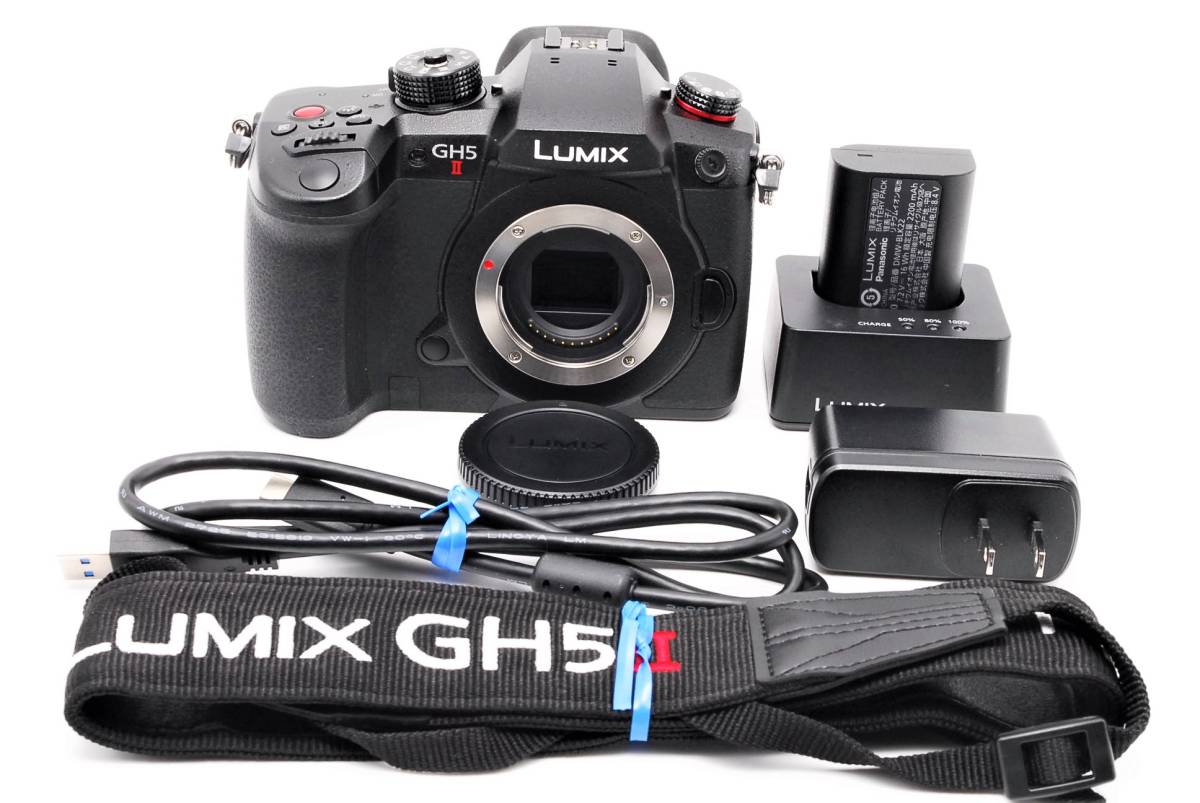人気！美品PANASONIC パナソニック LUMIX DMC-GX8 ボディ☆完動品☆