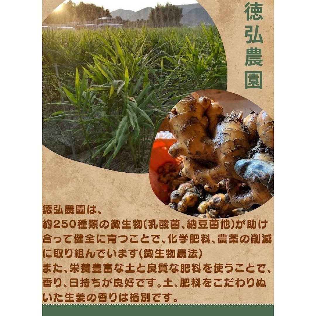 土佐の大生姜4kg　土付き囲い生姜　種　高知県産　土、肥料をこだわりぬいた生姜の香りは格別です。　送料無料_4