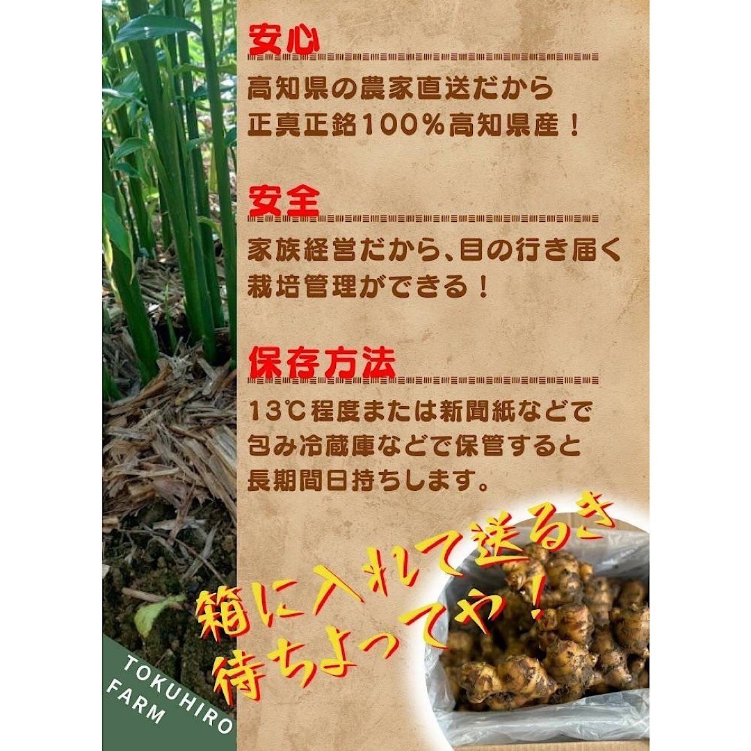 土佐の大生姜4kg　土付き囲い生姜　種　高知県産　土、肥料をこだわりぬいた生姜の香りは格別です。　送料無料_5