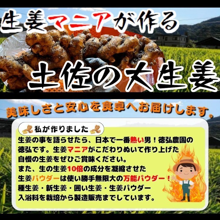 土佐の大生姜4kg　土付き囲い生姜　種　高知県産　土、肥料をこだわりぬいた生姜の香りは格別です。　送料無料_6
