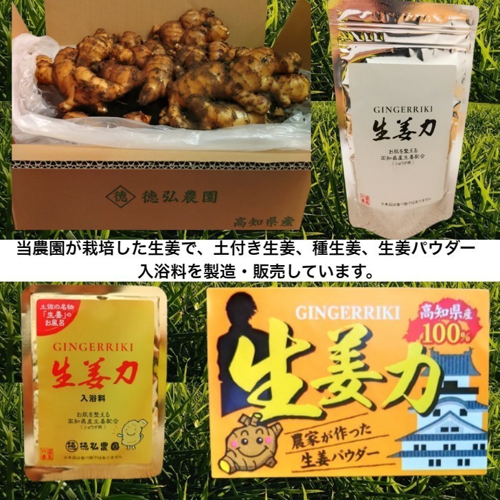 土佐の大生姜4kg　土付き囲い生姜　種　高知県産　土、肥料をこだわりぬいた生姜の香りは格別です。　送料無料_7