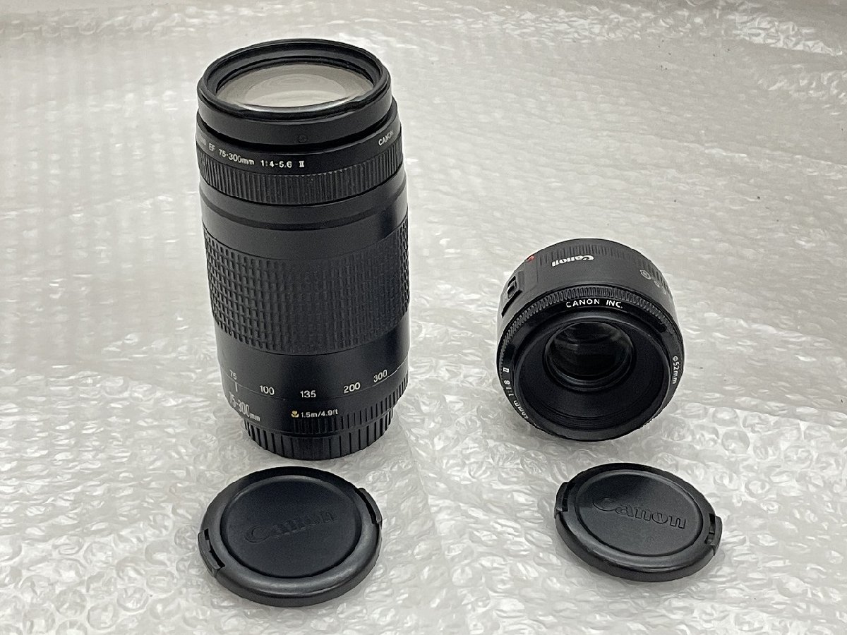 ☆現状品☆ キヤノン CANON EF-S 55-250mm F4-5.6 IS | ARTDECO.PR.IT