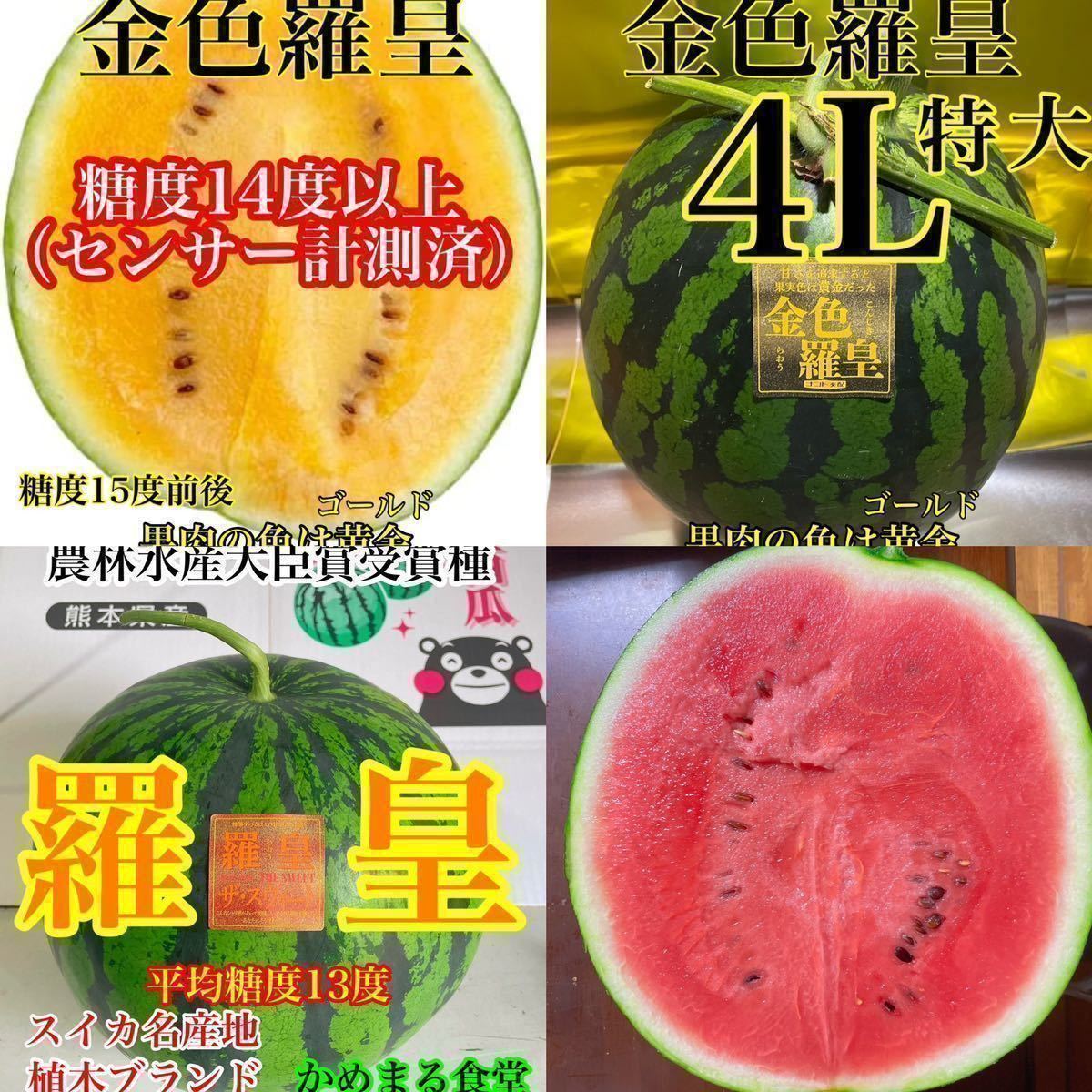 スペシャル赤金セット】大玉スイカの最高傑作【金色羅皇&羅皇】5L前後2