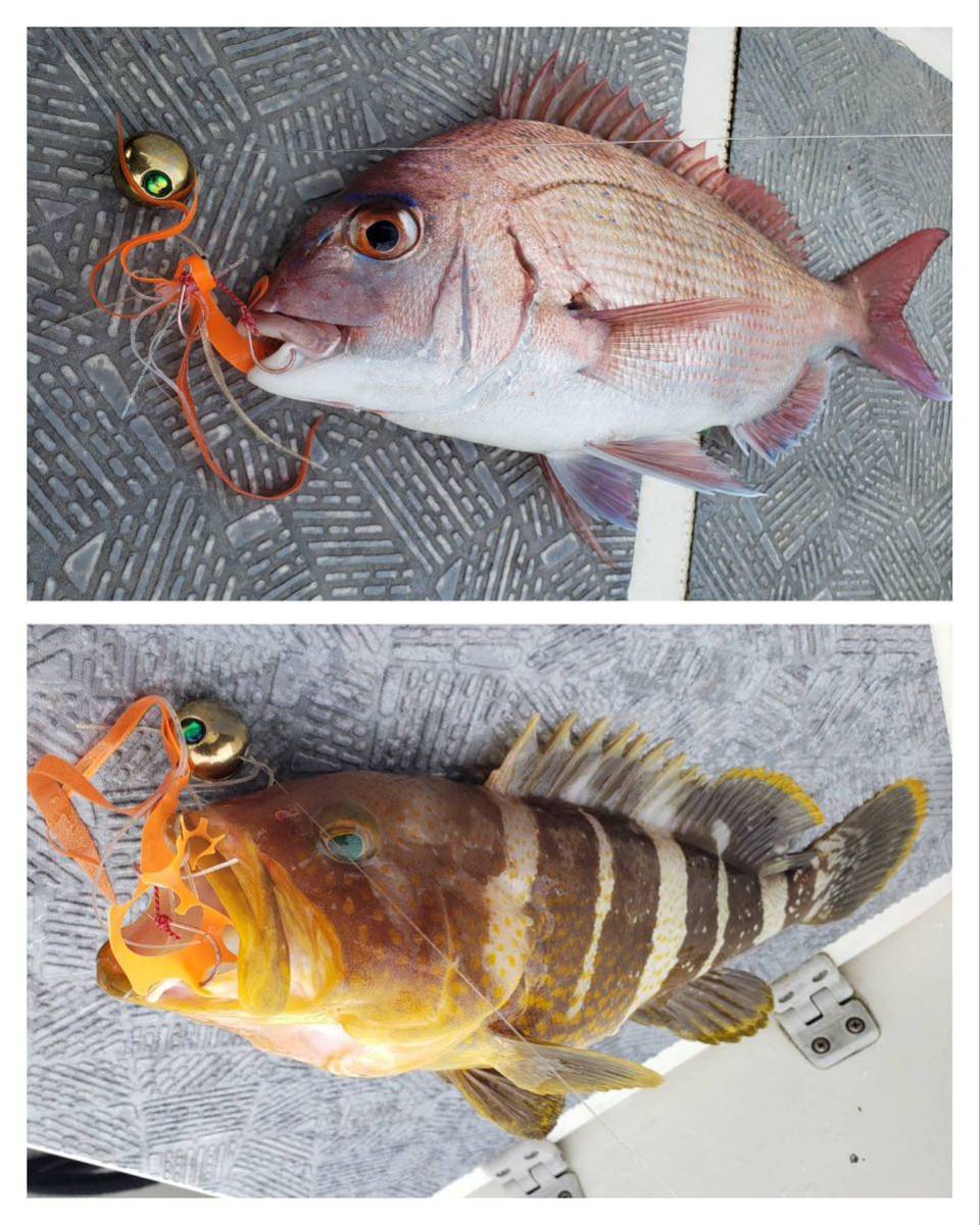 タングステン タイラバ タイラバヘッド 鯛ラバジグ オレキン