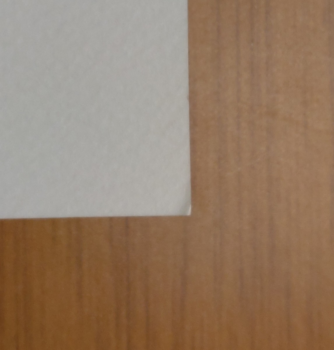 また、春がくる◆チラシの裏　ちらうら◆さねぎゆ◆不死川実弥×冨岡義勇◆実義◆鬼滅の刃 同人誌_3