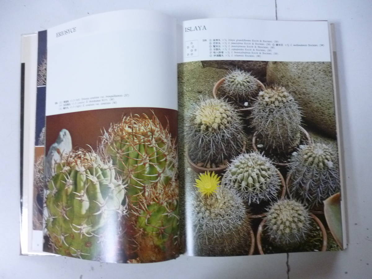 【超貴重品！】原色シャボテン多肉植物大図鑑 全3巻　箱あり　古書　絶版 原色シャボテン多肉植物大図鑑 第2巻 1冊 著・龍膽寺雄(ガーデニング