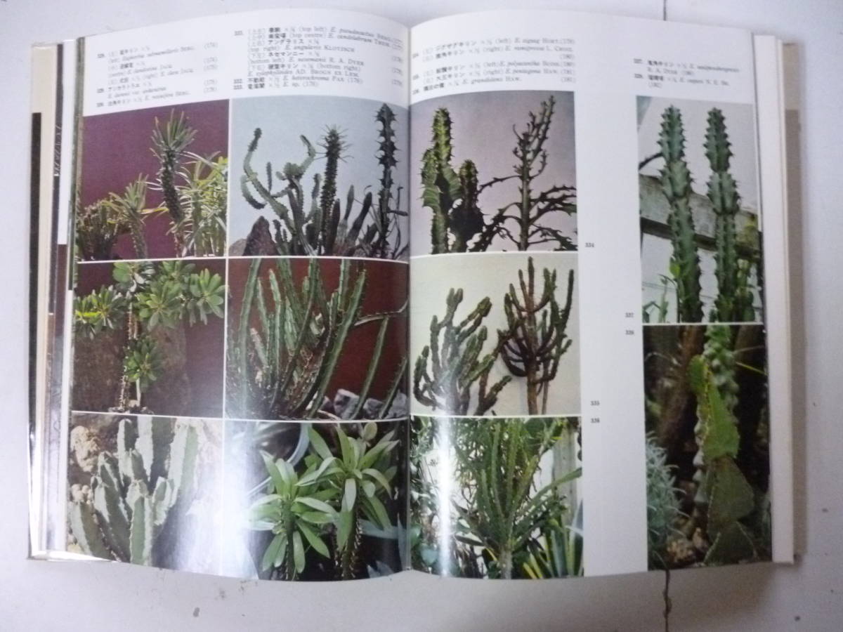 原色シャボテン多肉植物大図鑑 第2巻 1冊 著・龍膽寺雄(ガーデニング
