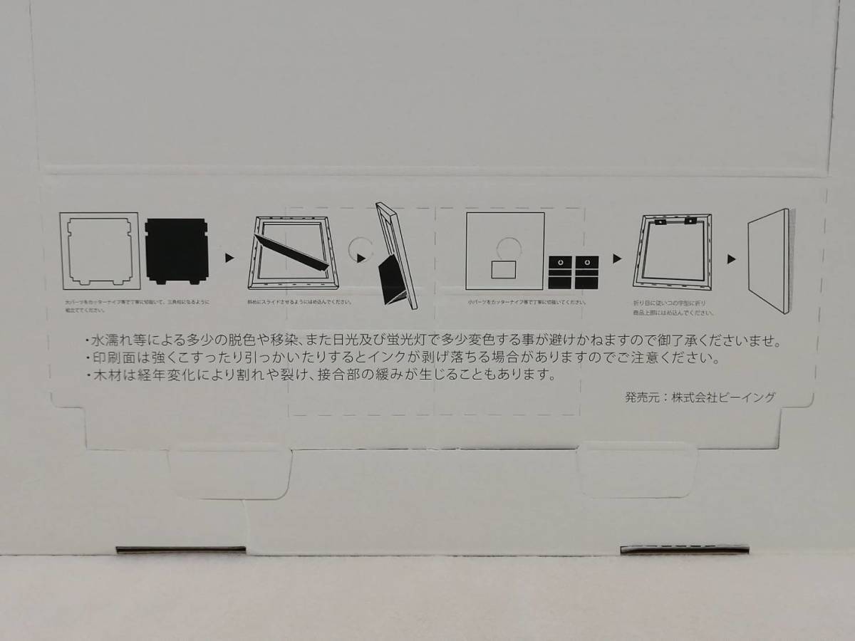 ☆新品未使用☆ ZARD アートフォトグラフィーパネル 坂井泉水 貴重 激 