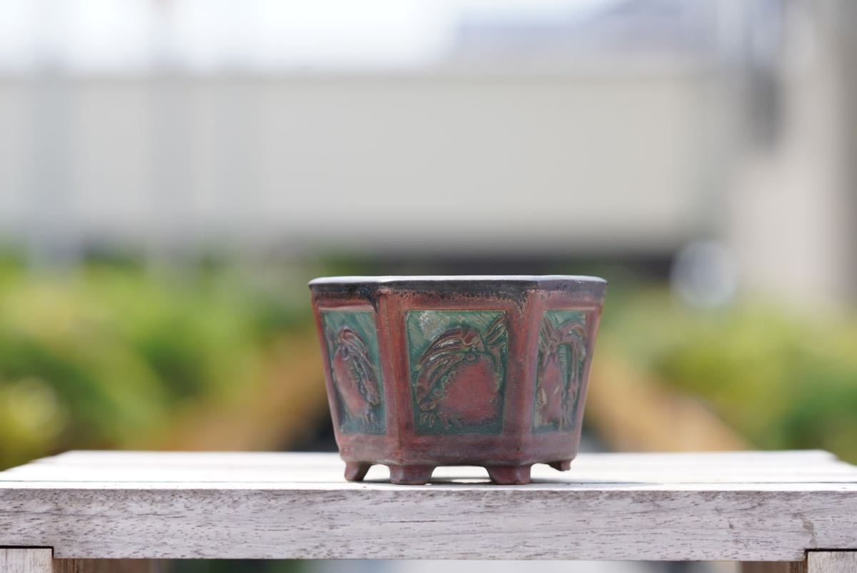 亦盆栽」岡谷是心 彫刻蟹 六角鉢 小品盆栽鉢 植木鉢 時代付け(鉢