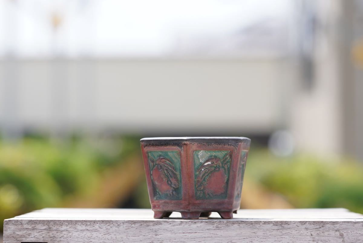 岡谷是心　盆栽鉢 亦盆栽」岡谷是心 彫刻蟹 六角鉢 小品盆栽鉢 植木鉢 時代付け(鉢