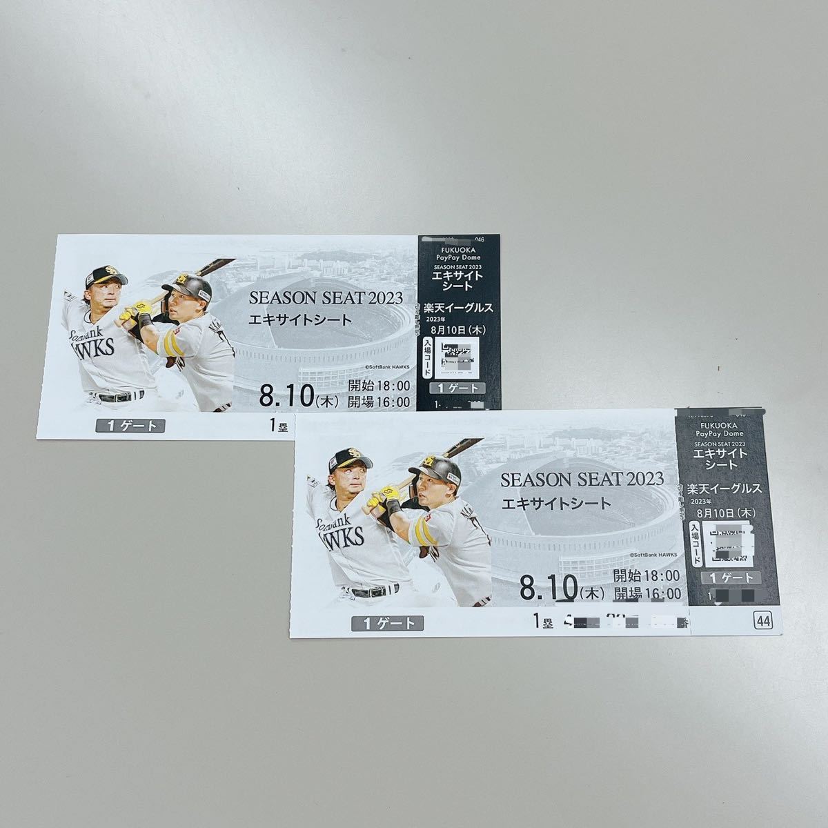 福岡ソフトバンクホークス | vs B 楽天 楽天戦 ホークス観戦チケット 