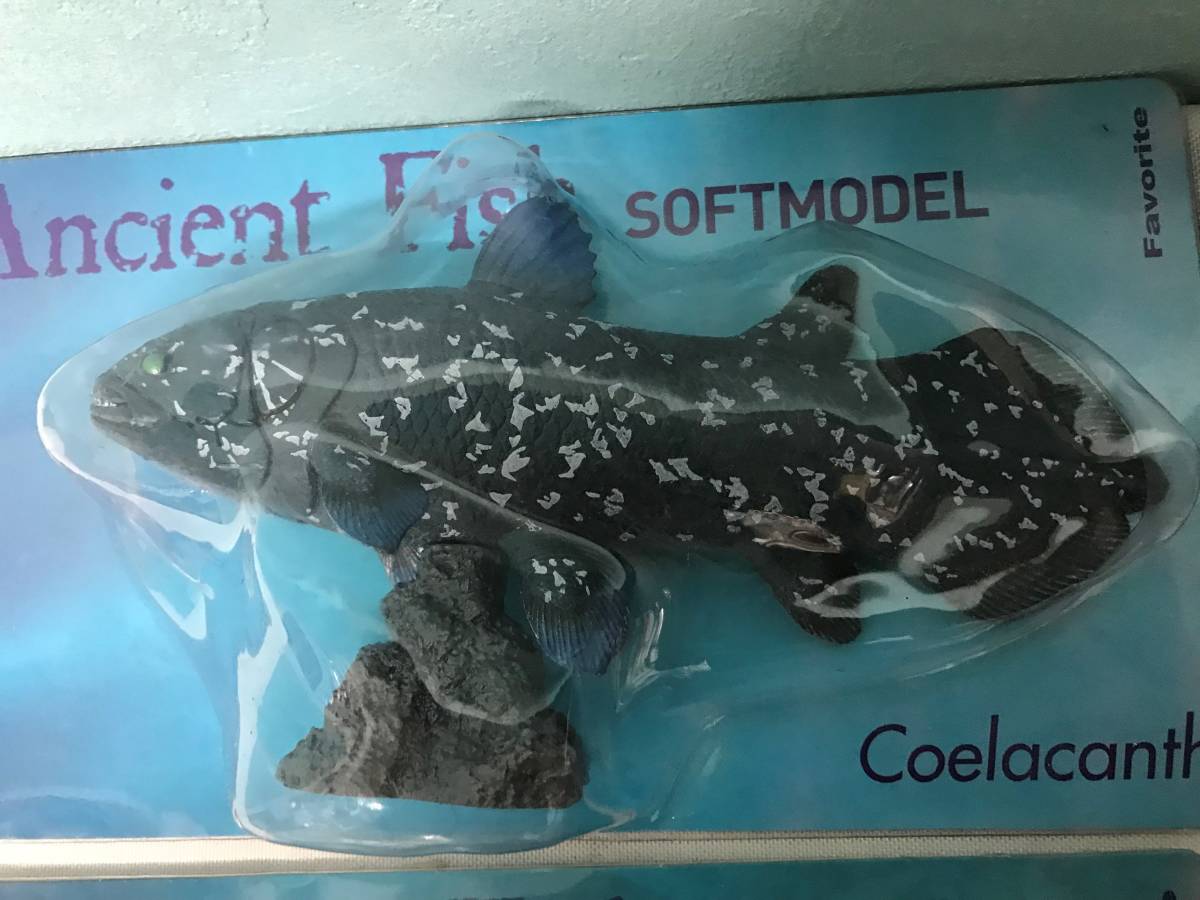ANCIENT FISH ソフトモデル ソフトモデル｜ソフト素材を使用した