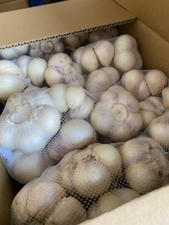 青森県にんにく3Kg 2L .L 青森県 2L .L マーケット 青森県産ニンニク2L