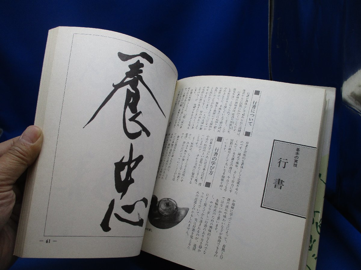 藍田基本書例集 書道漢字】伝統美術手工芸シリーズ 殿村藍田 書道 1982