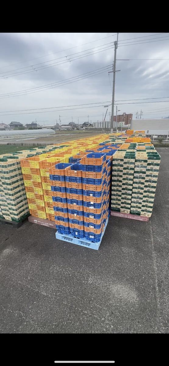 2号。野菜コンテナ プラスチック コンテナ オリコン 中古 野菜  