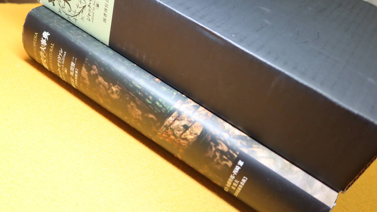 ジャック・サリヴァン 幻想文学大事典 幻想文学大事典 | ジャック