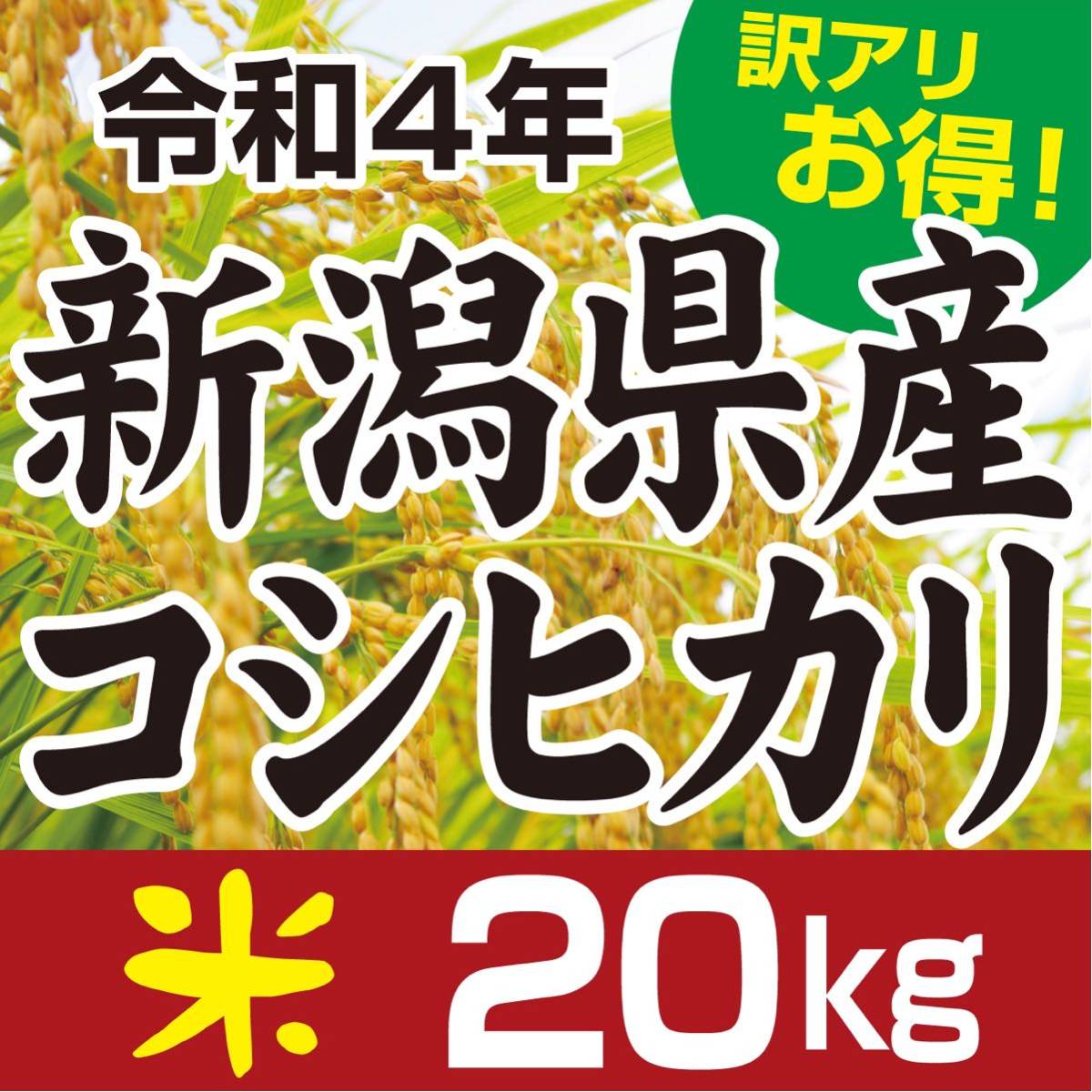 福島県産 こしひかり 100% 20kg 新米 令和7年 有機肥料 送料無料