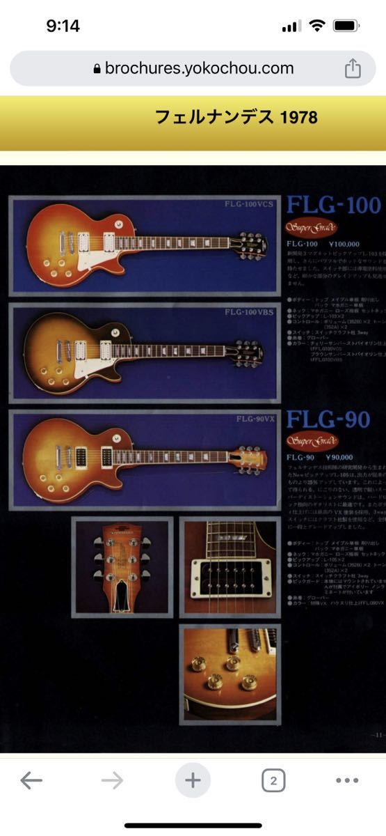 1979年?石ロゴフェルナンデスFLG100VCS_10