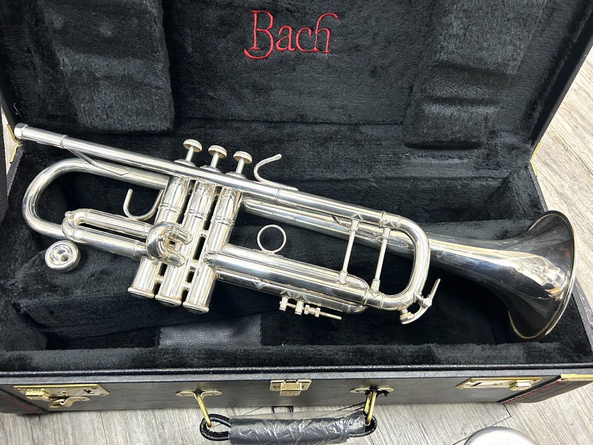 swallowトランペット50LN Swallow トランペット