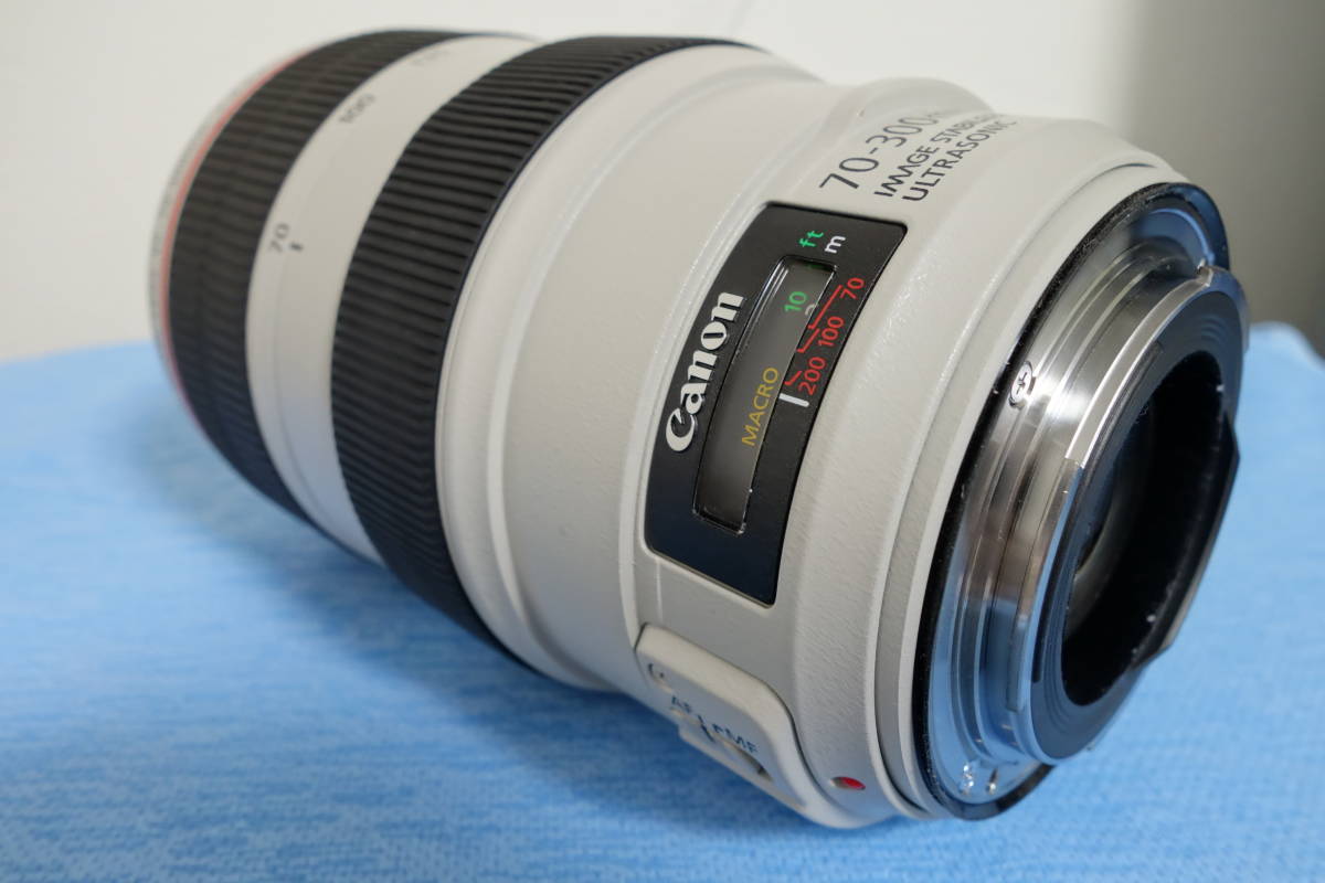 美品】Canon EF 70-300mm F4-5.6 L IS USM 【公式通販】